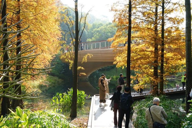 Landscape as Choreography: Architecture in the Contemporary Botanical Garden - More Images