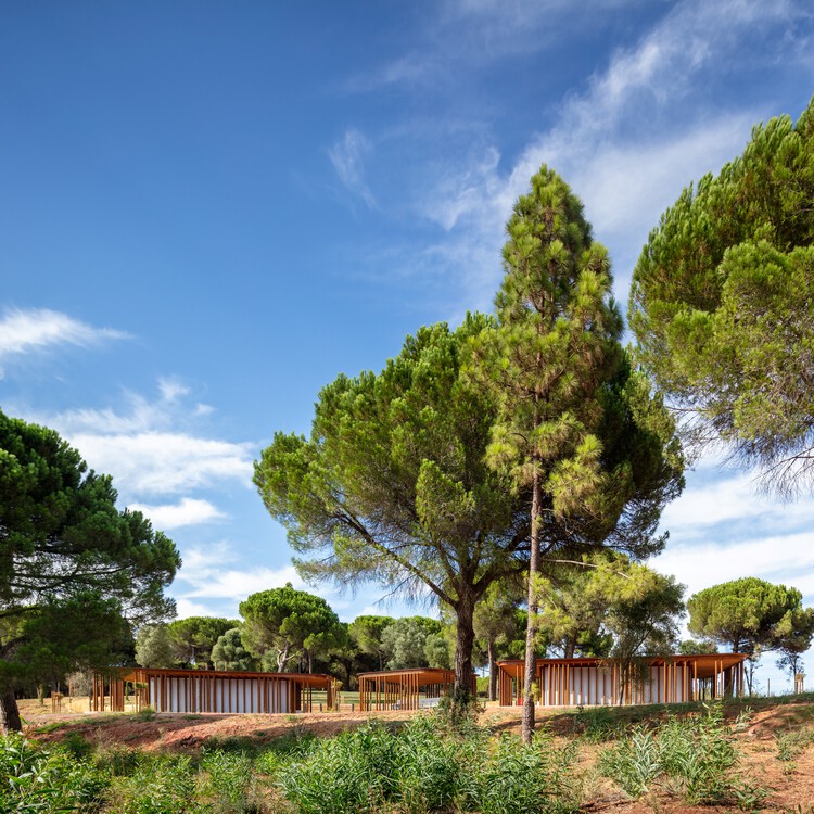 Mata do Paraíso Scout Park / Plano Humano Arquitectos