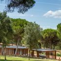 Mata do Paraíso Scout Park / Plano Humano Arquitectos - Community 