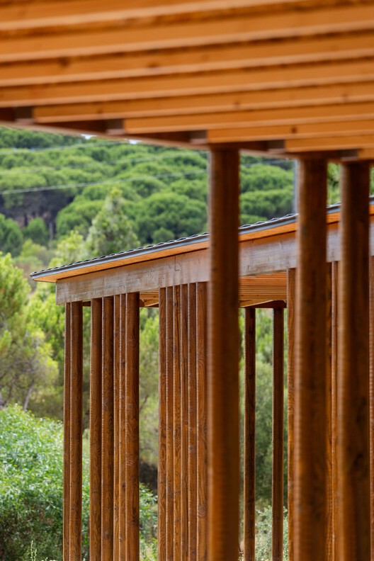 Mata do Paraíso Scout Park / Plano Humano Arquitectos Mata do Paraíso Scout Park / Plano Humano Arquitectos - Image 12 of 27