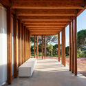 Mata do Paraíso Scout Park / Plano Humano Arquitectos - Community 