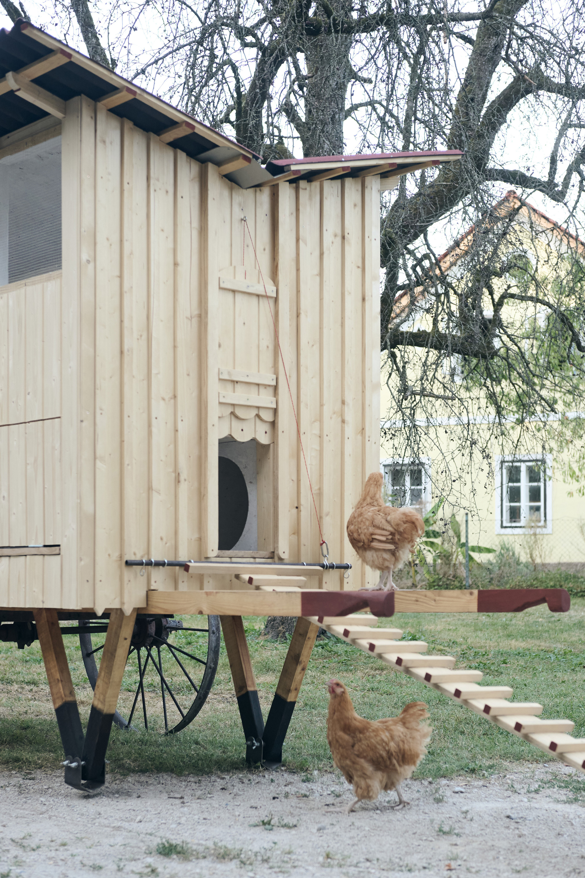 Gallinero móvil construido en Thinking Hands, vista 2