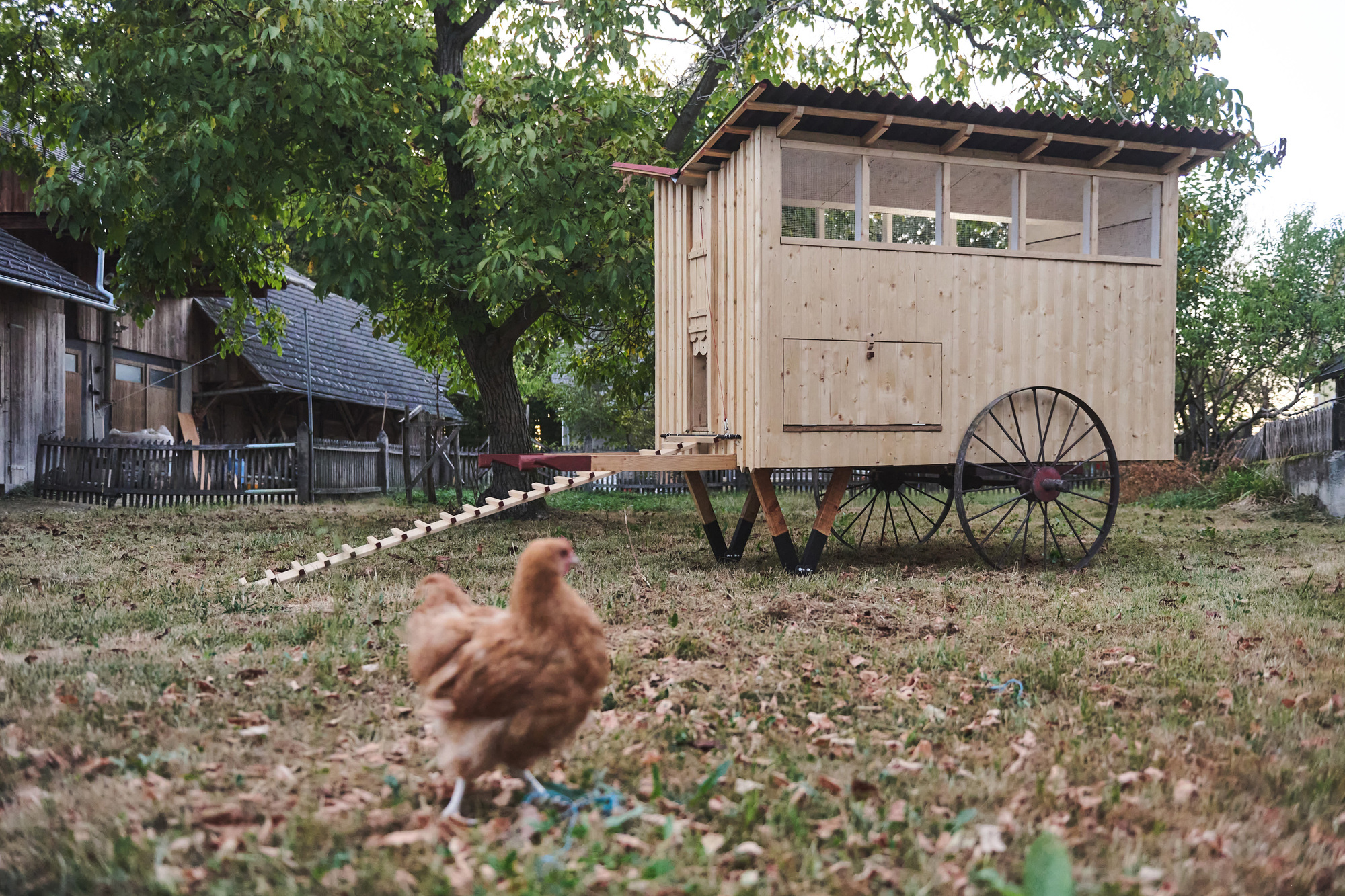Mobile Chicken Coop / Gerrit Müller-Scheeßel + Z.O.P. - Institute for Spatial Design