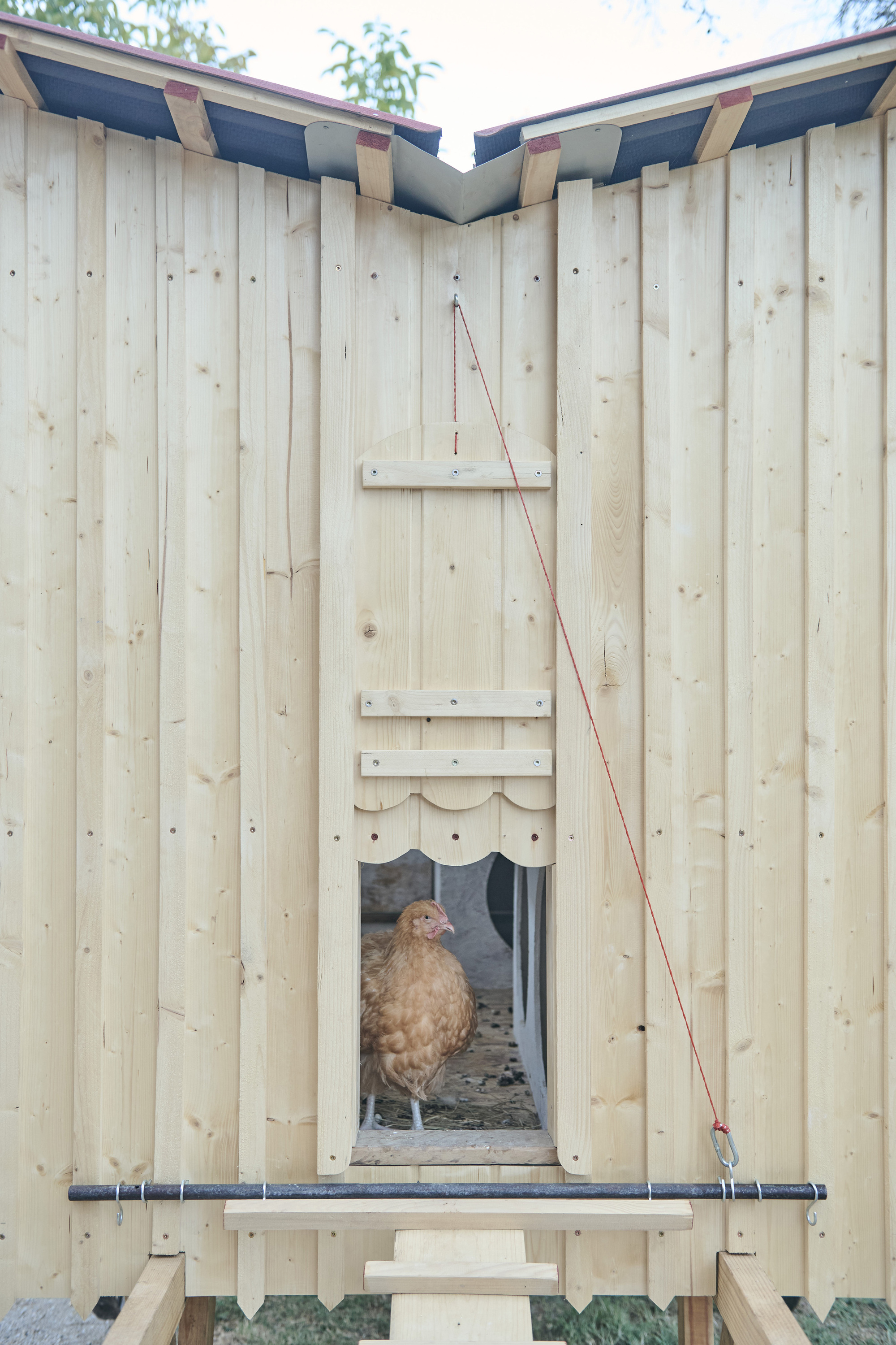 Gallinero móvil construido en Thinking Hands, vista 3