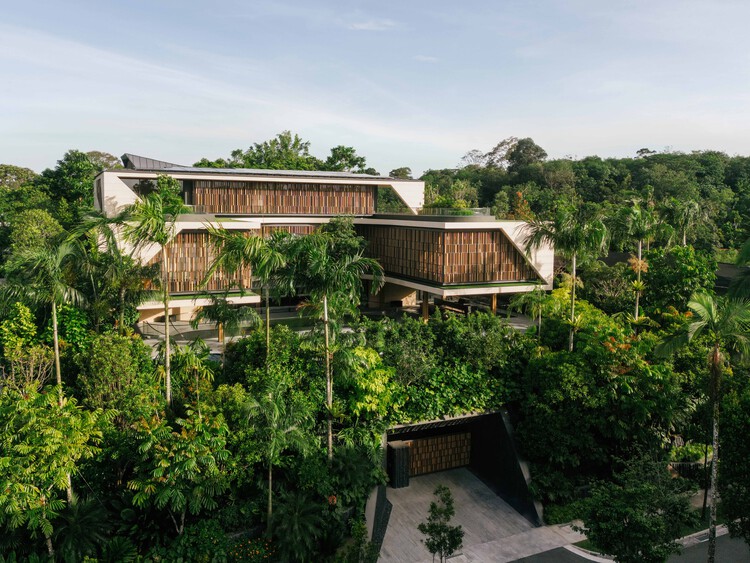House Above The Trees / Wallflower Architecture + Design - Houses