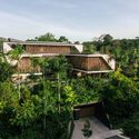Wallflower Architecture + Design