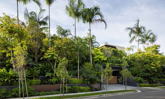 House Above The Trees / Wallflower Architecture + Design - Image 6 of 20