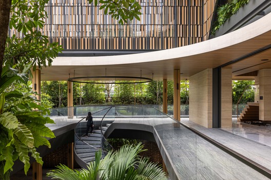 House Above The Trees / Wallflower Architecture + Design - Image 3 of 20