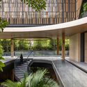 House Above The Trees / Wallflower Architecture + Design - Houses