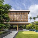 House Above The Trees / Wallflower Architecture + Design - Houses