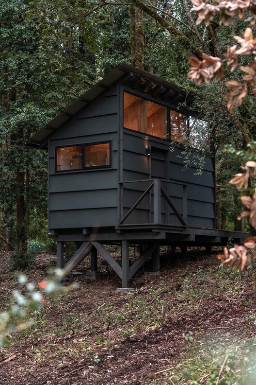 Base Rupanco / remo estudio - Exterior Photography, Wood, Forest