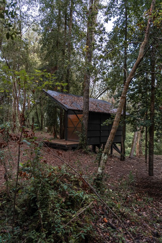 Base Rupanco / remo estudio - Exterior Photography, Wood, Forest