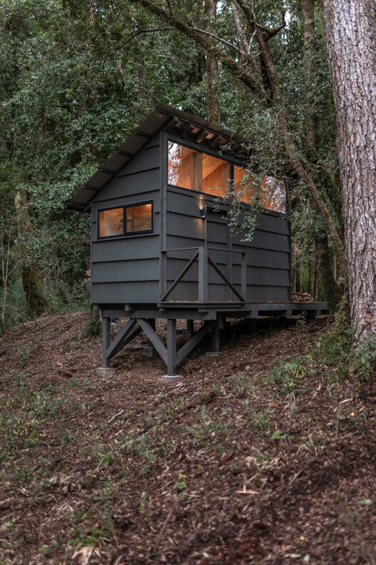 Base Rupanco / remo estudio - Exterior Photography, Wood, Forest