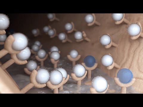 What Wood Should I Use on the Coast? What Wood Should I Use on the Coast? - Image 8 of 9