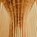 The Sound of Wood / Antoine Aunave, Flora Peyrot, Mathilde Steenhaut, Luc Loviton - Landscape Architecture