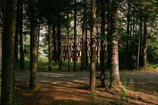 Again, a Garden Temporary Installation / Hugh Taylor - Image 11 of 18