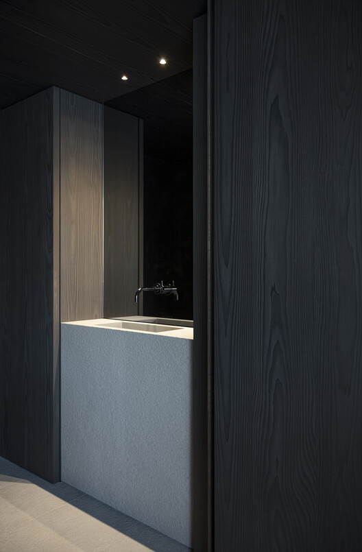 Alpamyr House / sandro durrer Alpamyr House / sandro durrer - Image 23 of 30