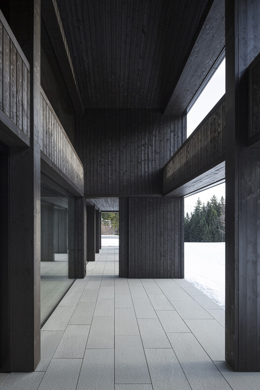 Alpamyr House / sandro durrer Alpamyr House / sandro durrer - Image 3 of 30