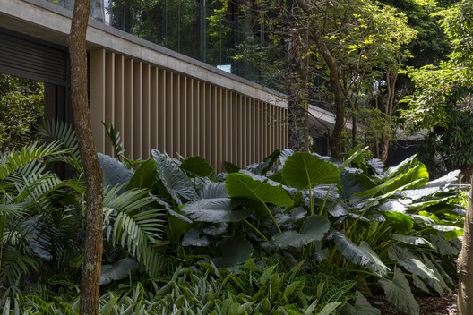 Edificio Bothanic Faria Lima / Del Bianco Arquitetos + AMZ Arquitetos Edificio Bothanic Faria Lima / Del Bianco Arquitetos + AMZ Arquitetos - Fotografía exterior, Jardín