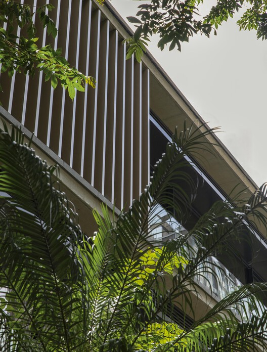 Edificio Bothanic Faria Lima / Del Bianco Arquitetos + AMZ Arquitetos Edificio Bothanic Faria Lima / Del Bianco Arquitetos + AMZ Arquitetos - Imagen 25 de 43
