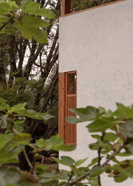 Casa Amona / COLAR Colectivo de Arquitectura Casa Amona / COLAR Colectivo de Arquitectura - Exterior Photography, Wood