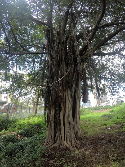 From Garden to Monument: Liberation Landscapes in African Cities - Image 4 of 9
