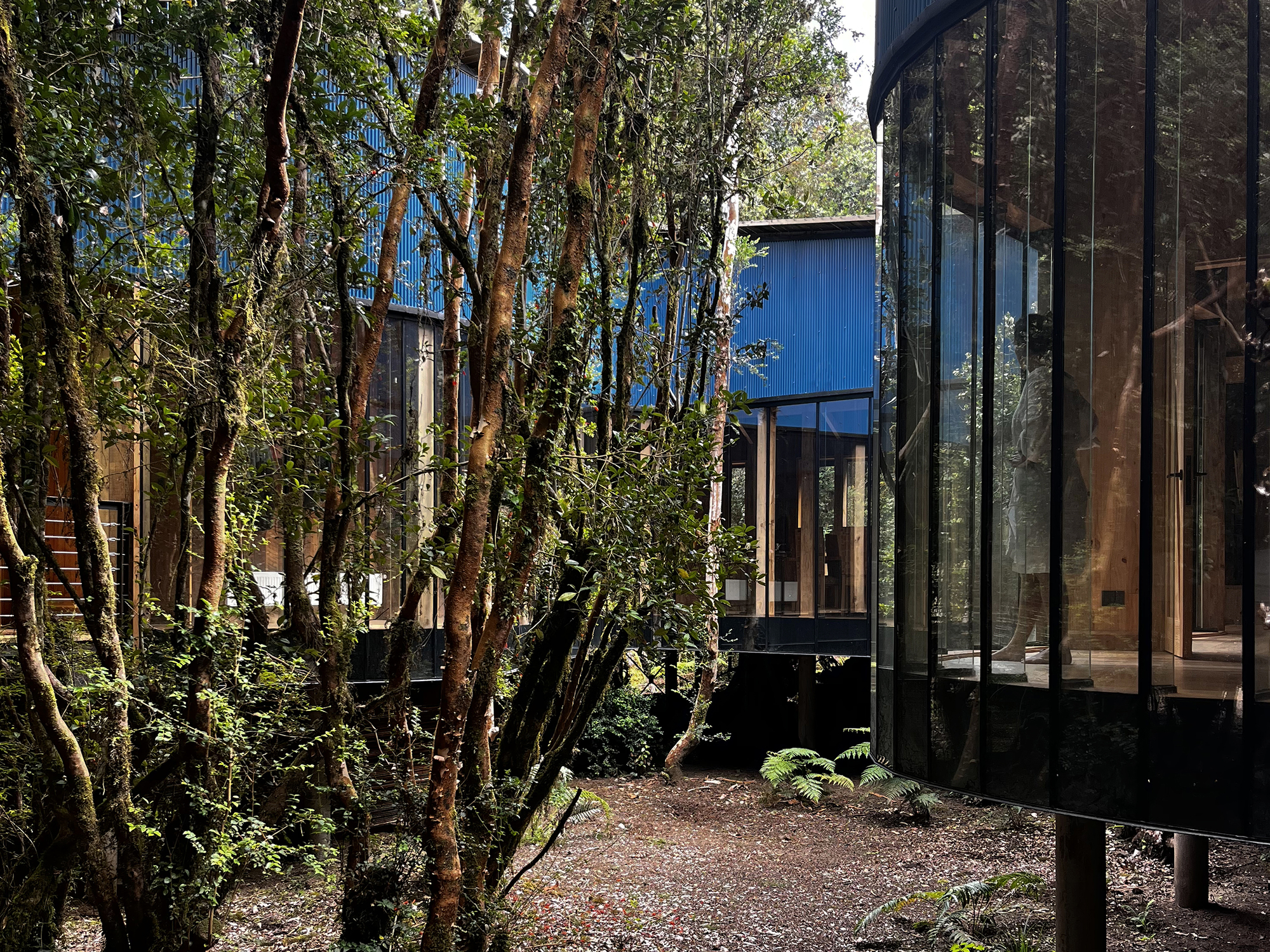Casa Gaviota / SAA Arquitectura + Territorio