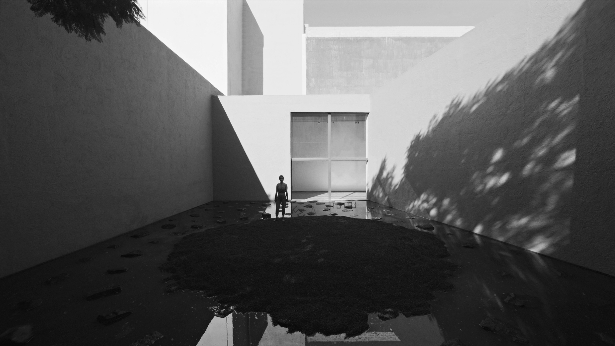 Cronoboros convierte el Museo El Eco en un paisaje de agua, piedra y huellas