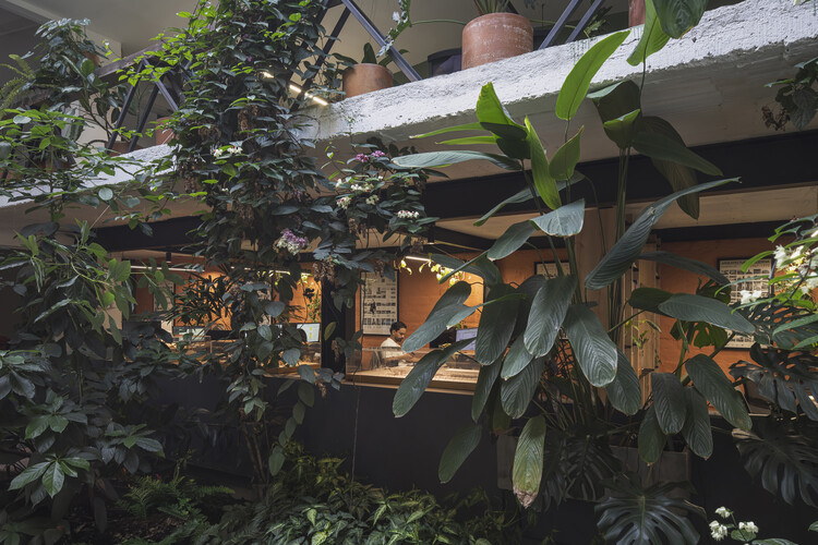 Office 101 Casa Andina / Caliza Arquitectura - Offices Interiors