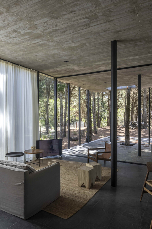 A House with One Hundred Pines / Luis Barandiarán A House with One Hundred Pines / Luis Barandiarán - Interior Photography, Wood, Beam