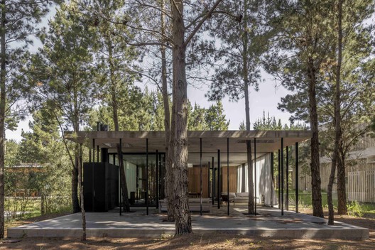 A House with One Hundred Pines / Luis Barandiarán A House with One Hundred Pines / Luis Barandiarán - Exterior Photography, Wood