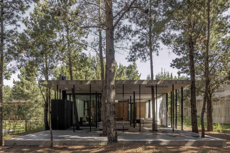 A House with One Hundred Pines / Luis Barandiarán