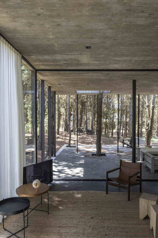 A House with One Hundred Pines / Luis Barandiarán A House with One Hundred Pines / Luis Barandiarán - Interior Photography, Wood