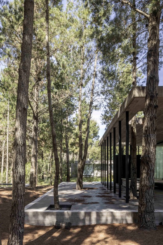 A House with One Hundred Pines / Luis Barandiarán A House with One Hundred Pines / Luis Barandiarán - Image 7 of 31