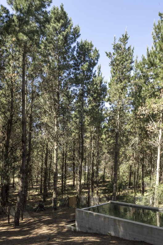 A House with One Hundred Pines / Luis Barandiarán A House with One Hundred Pines / Luis Barandiarán - Image 8 of 31