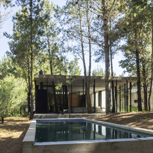 A House with One Hundred Pines / Luis Barandiarán A House with One Hundred Pines / Luis Barandiarán - Exterior Photography, Wood