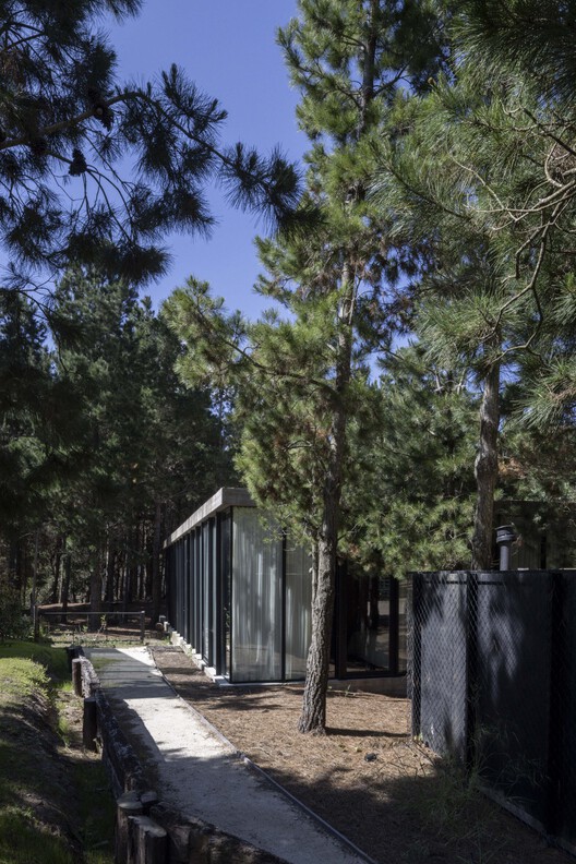 A House with One Hundred Pines / Luis Barandiarán A House with One Hundred Pines / Luis Barandiarán - Image 10 of 31