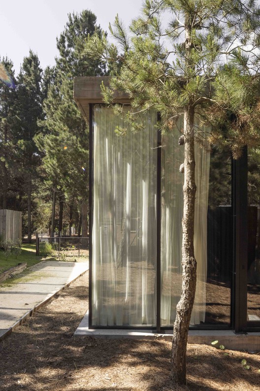 A House with One Hundred Pines / Luis Barandiarán A House with One Hundred Pines / Luis Barandiarán - Image 11 of 31