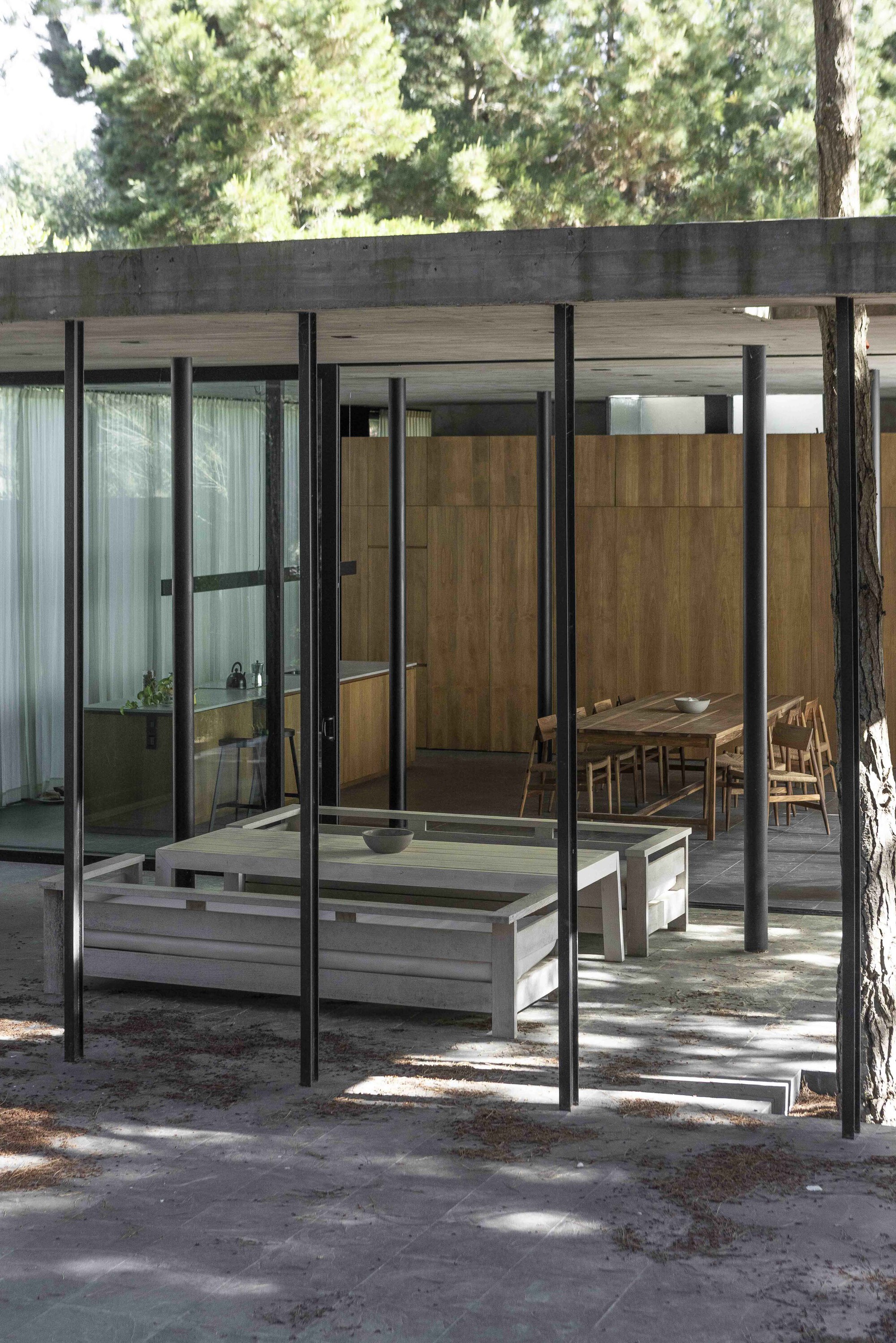 Una casa entre cien pinos convierte la estructura en filtro del paisaje