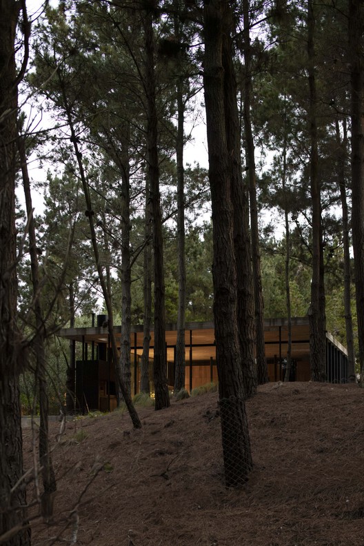 A House with One Hundred Pines / Luis Barandiarán A House with One Hundred Pines / Luis Barandiarán - Image 23 of 31