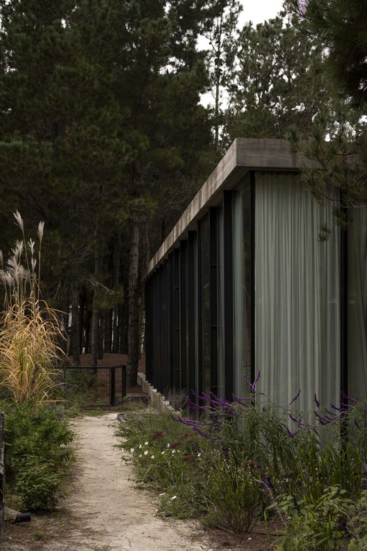 A House with One Hundred Pines / Luis Barandiarán A House with One Hundred Pines / Luis Barandiarán - Image 22 of 31