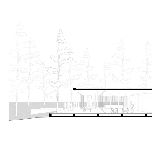 A House with One Hundred Pines / Luis Barandiarán A House with One Hundred Pines / Luis Barandiarán - Image 26 of 31