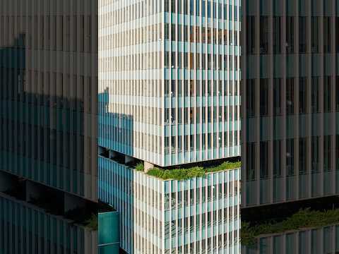 Jeronimo Faria Lima Building / Perkins&Will São Paulo - Image 6 of 27