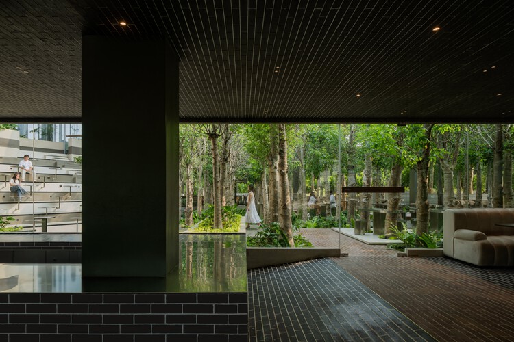Mitte Oblique Garden / RAD+ar (Araştırma Sanatsal Tasarım + mimari) - Dış Mekan Fotoğrafçılığı, Ahşap
