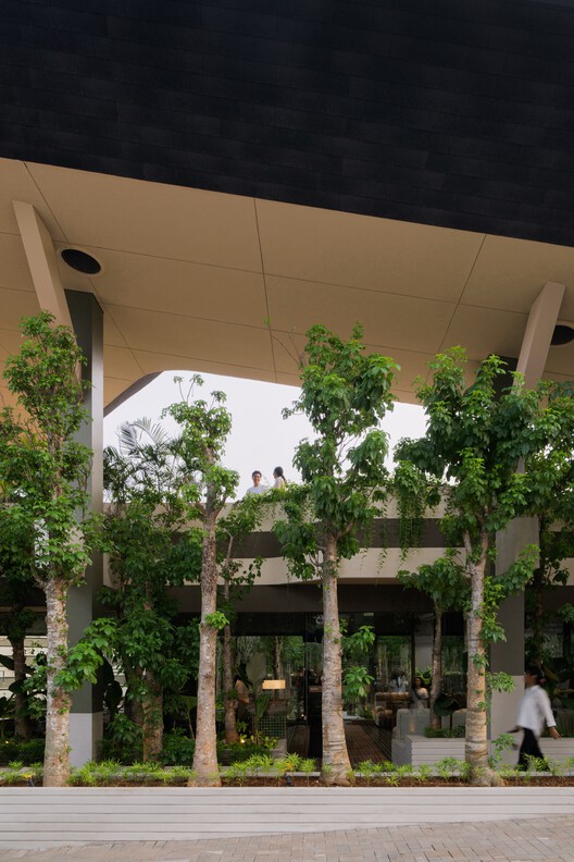 Mitte Oblique Garden / RAD+ar (Research Artistic Design + architecture) Mitte Oblique Garden / RAD+ar (Research Artistic Design + architecture) - Image 9 of 33