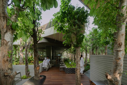 Mitte Oblique Garden / RAD+ar (Research Artistic Design + architecture) Mitte Oblique Garden / RAD+ar (Research Artistic Design + architecture) - Exterior Photography, Wood, Garden, Courtyard