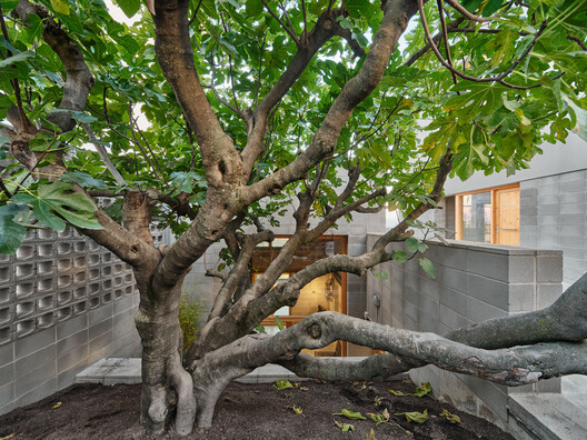 A Casa da Figueira / Comas-Pont arquitectes A Casa da Figueira / Comas-Pont arquitectes - Imagem 10 de 19