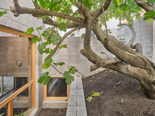 A Casa da Figueira / Comas-Pont arquitectes A Casa da Figueira / Comas-Pont arquitectes - Imagem 9 de 19