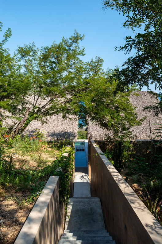Casa Yuu' Kee' / em-estudio Casa Yuu' Kee' / em-estudio - Imagen 16 de 37