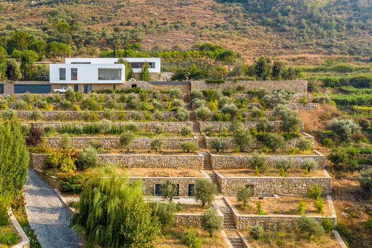 La Casa de las Terrazas / Accent Design Group - Imagen 6 de 25